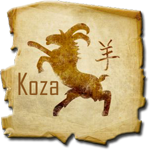 Čínský horoskop - koza