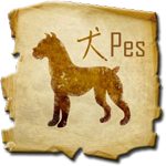 Čínský horoskop - pes