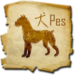 Čínský horoskop - Pes